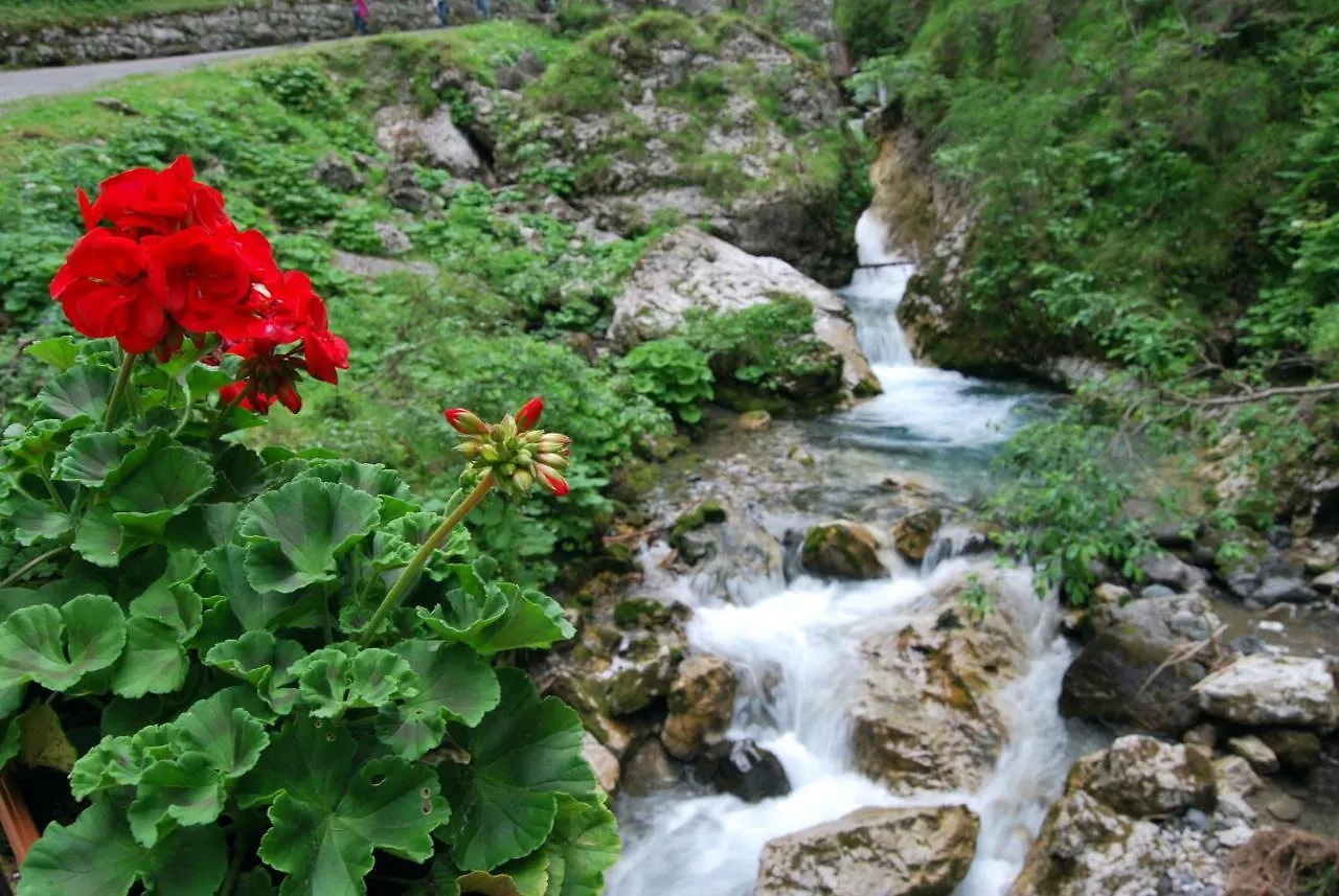 Διαμέρισμα Maison Al Lago Alleghe